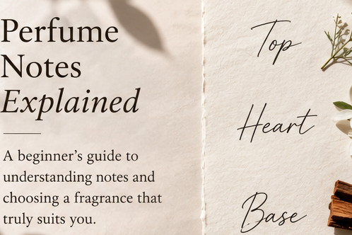 Perfume Notes Explained: A Beginner's Guide to Choosing the Right Fragrance